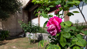 Casa di Elena
